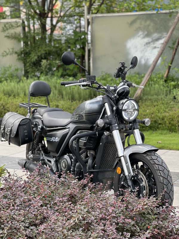 二手赛科龙RA401