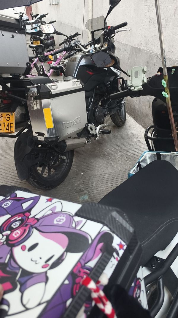 二手贝纳利金鹏 TRK251