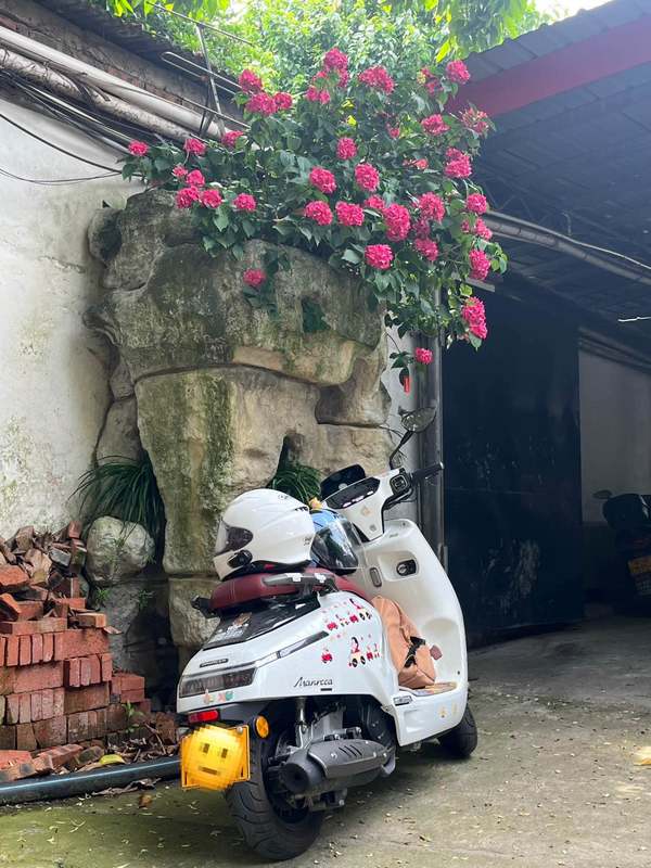 二手布雷斯通漫卡
