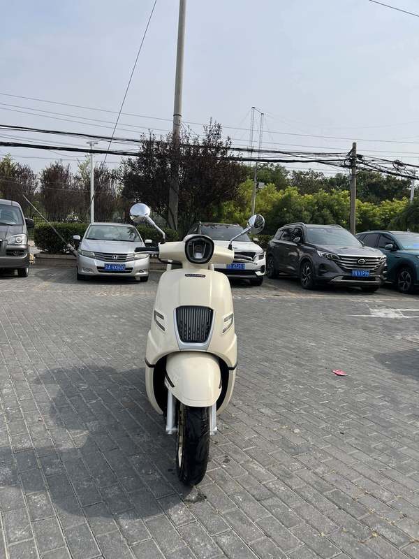 二手南方梦拉丽莎 飞戈