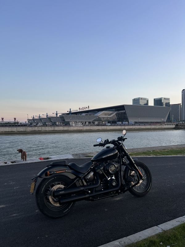 二手哈雷戴维森街霸 Street Bob
