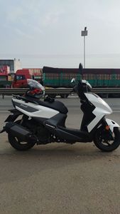 二手三阳FNX150