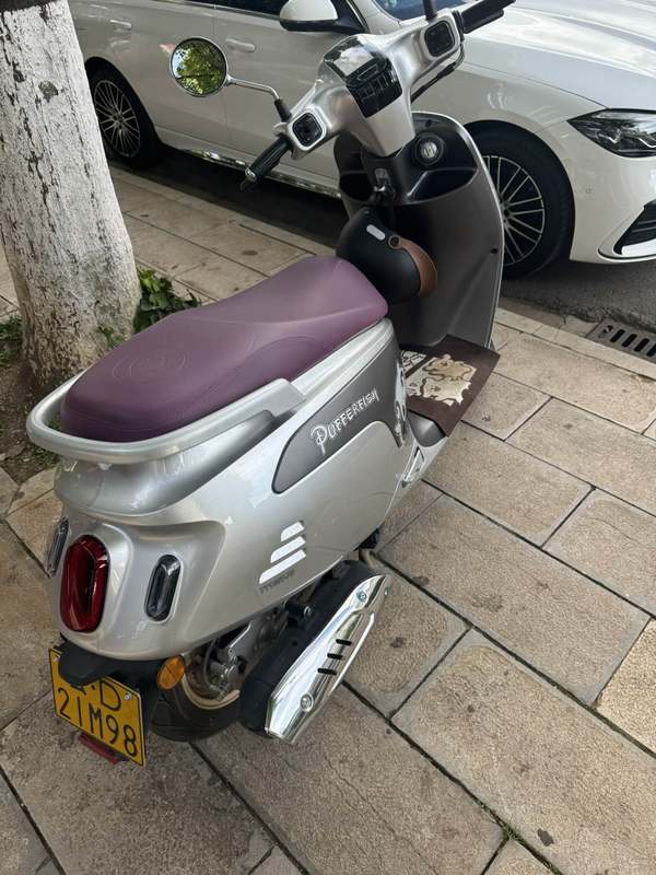 二手破界小河豚