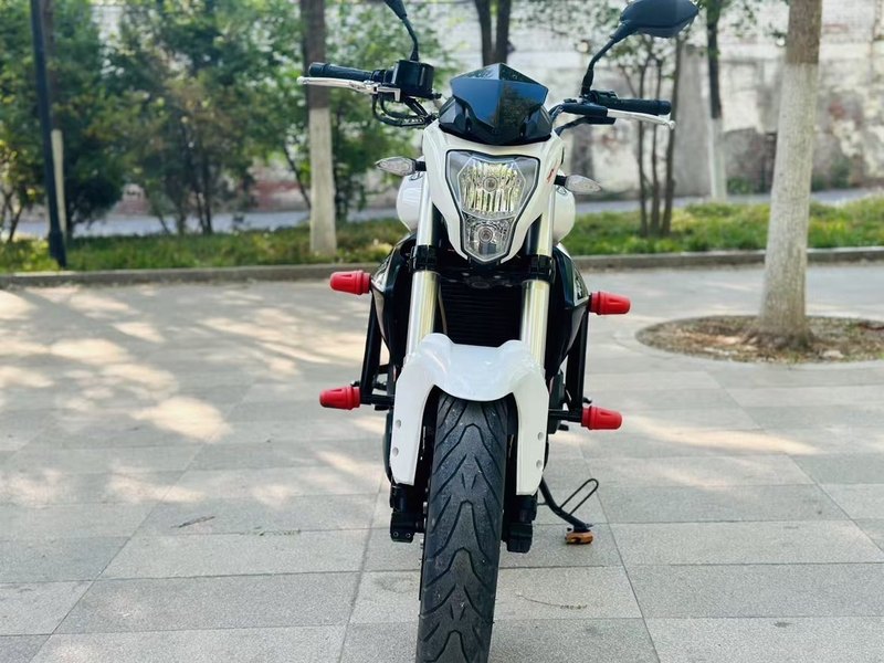 二手贝纳利蓝宝龙 BN302S