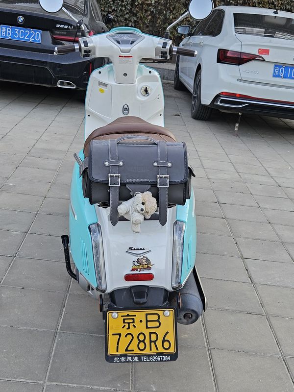 二手维多利亚Sixties 300i