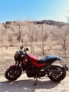 二手贝纳利幼狮 Leoncino 500