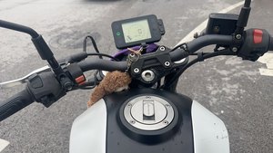 二手贝纳利幼狮 Leoncino 250