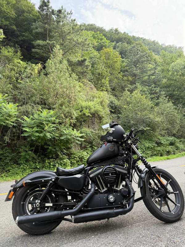 二手哈雷戴维森Iron883 硬汉