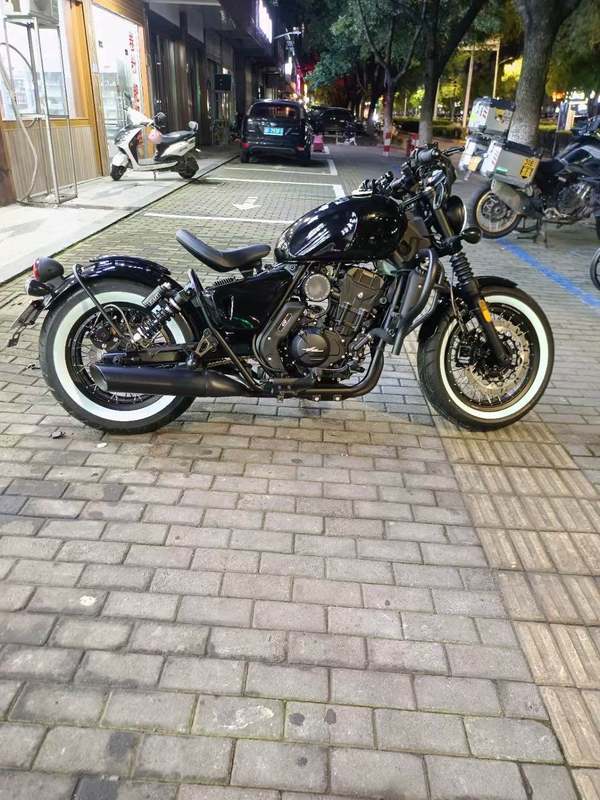 二手长江Bobbie Ⅱ 450S