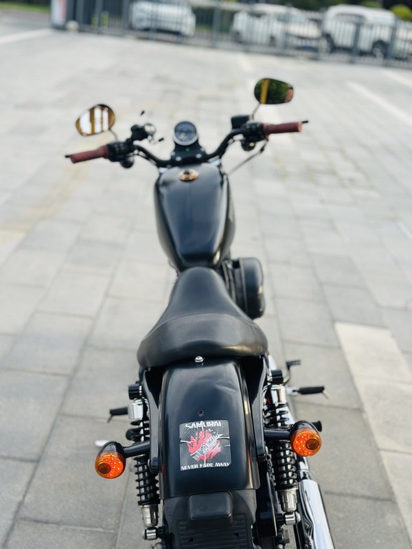 二手哈雷戴维森Iron883 硬汉