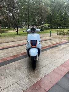 二手南方梦拉丽莎 飞戈