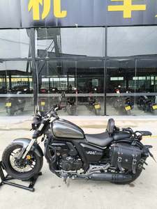 二手赛科龙RA401