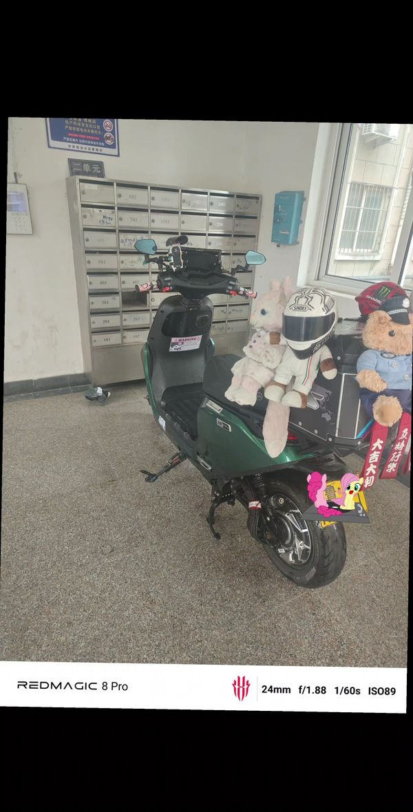 二手九号远航家M