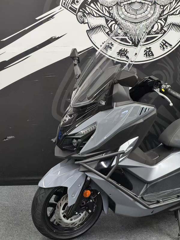 二手三阳巡弋 Cruisym300