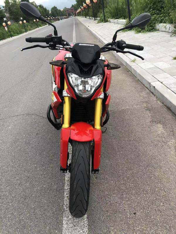 二手宝马G 310 R