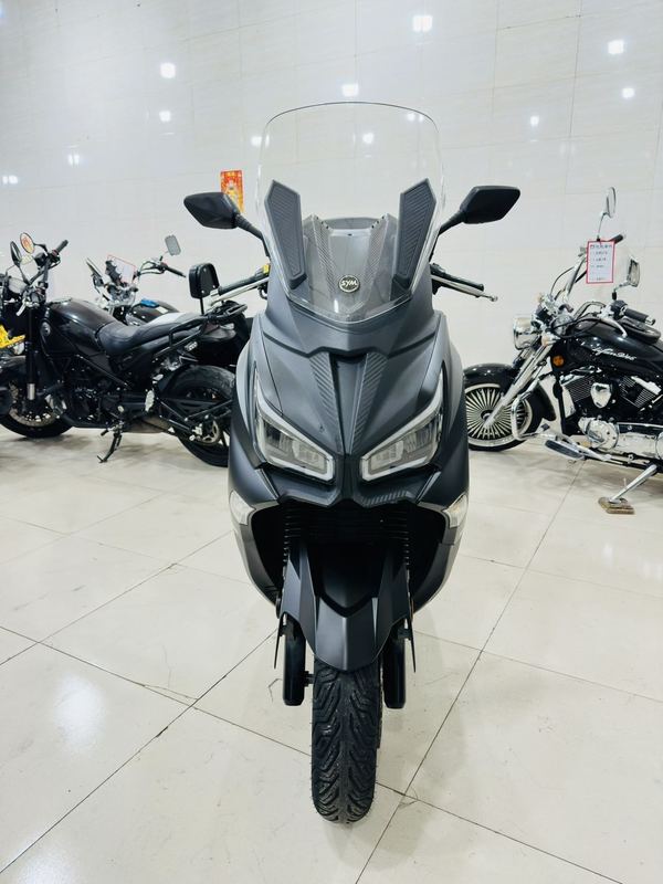 二手三阳Joymax Z 300