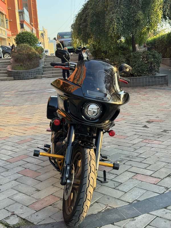 二手哈雷戴维森路威 Low Rider S