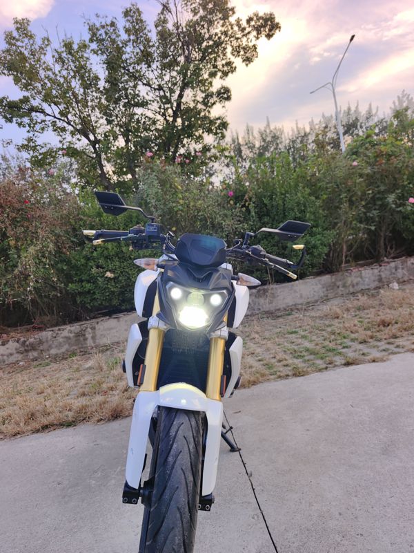 二手宝马G 310 R