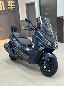 二手三阳Joymax Z 300