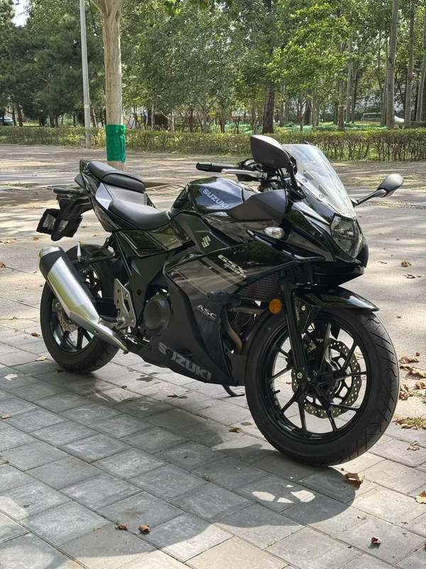 二手豪爵铃木GSX250R