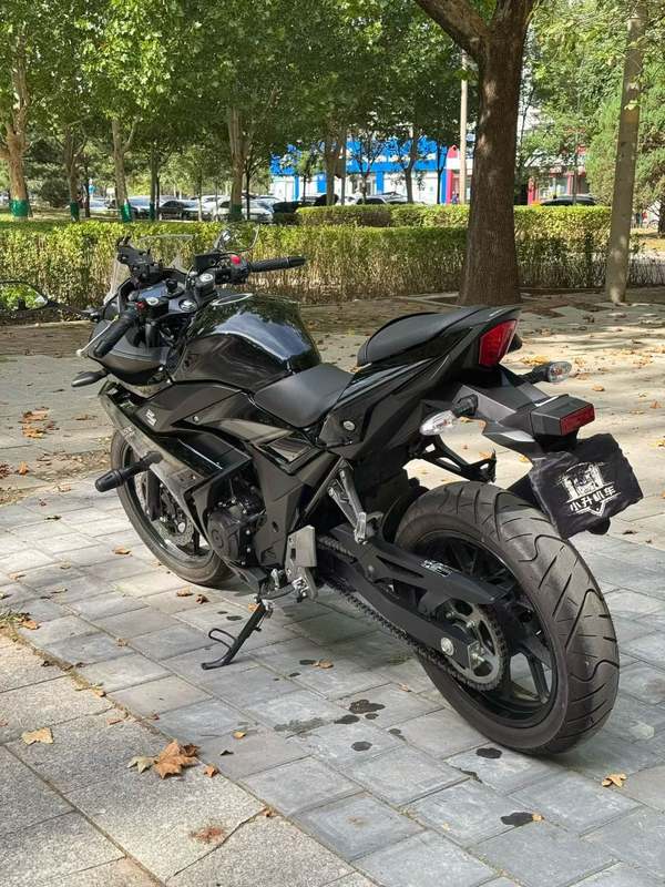 二手豪爵铃木GSX250R