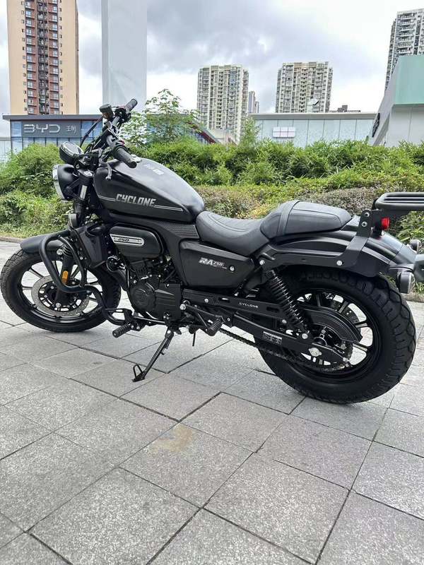 二手赛科龙RA250