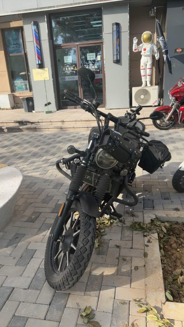 二手赛科龙RA250