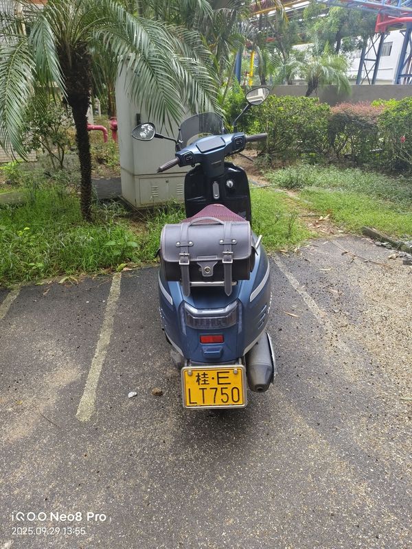 二手五本PLUS探戈