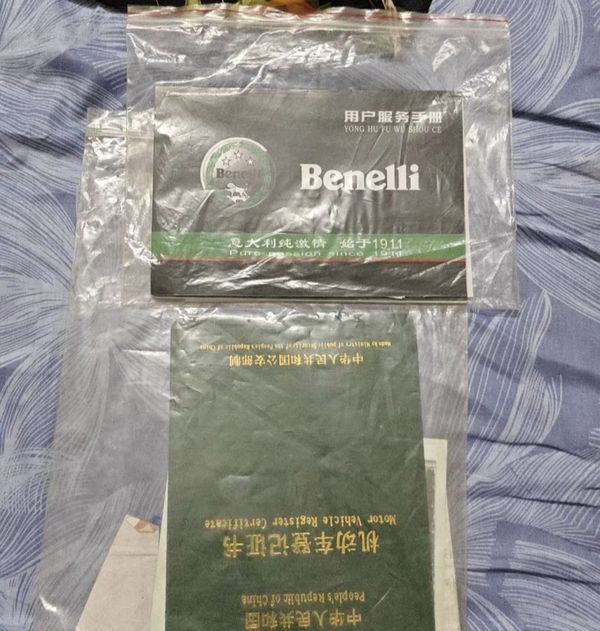 二手贝纳利幼狮 Leoncino 500