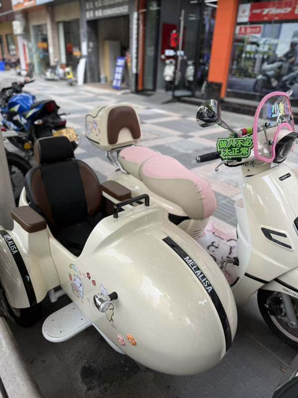二手南方梦拉丽莎 飞戈边三轮