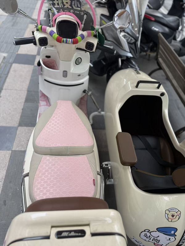 二手南方梦拉丽莎 飞戈边三轮