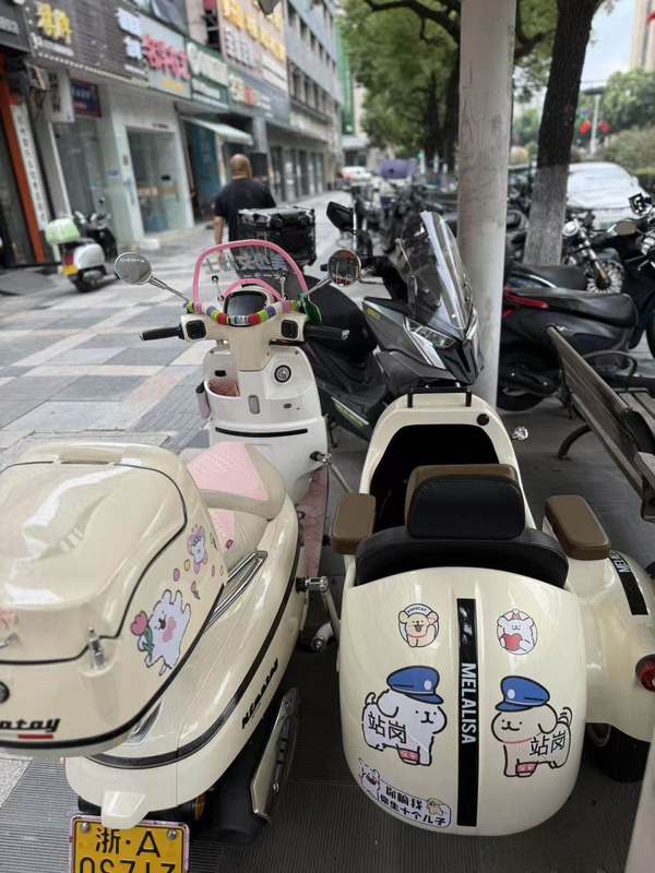 二手南方梦拉丽莎 飞戈边三轮