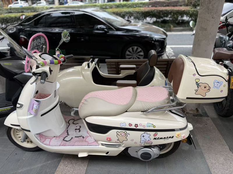 二手南方梦拉丽莎 飞戈边三轮