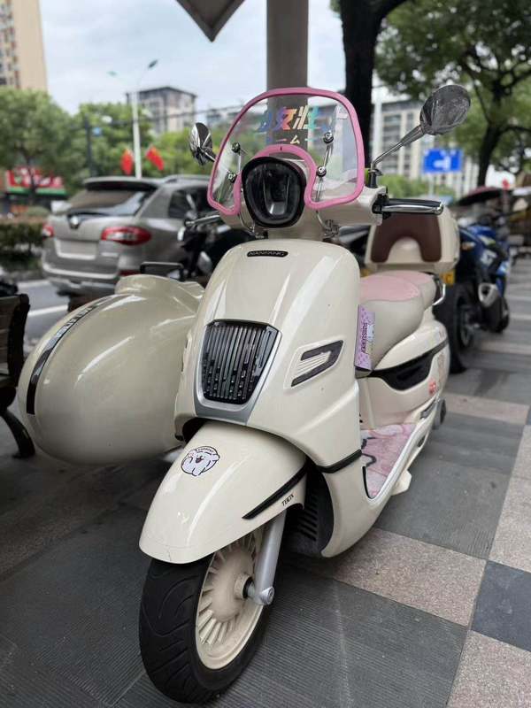 二手南方梦拉丽莎 飞戈边三轮