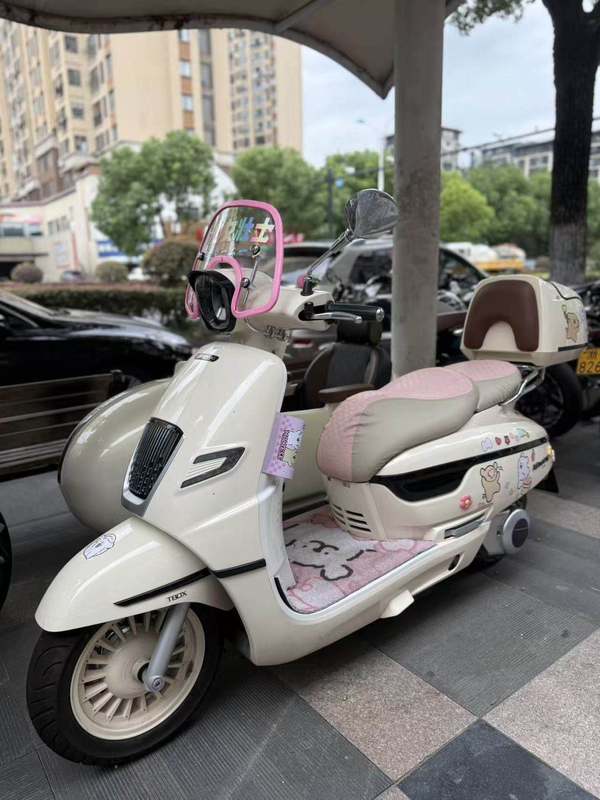 二手南方梦拉丽莎 飞戈边三轮