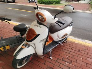 二手王野伊维莎