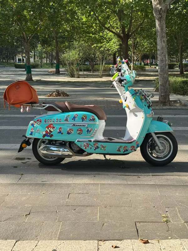 二手维多利亚Sixties 250Si