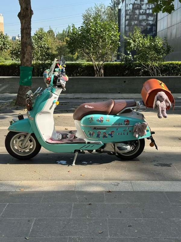 二手维多利亚Sixties 250Si