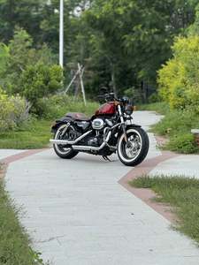 二手哈雷戴维森XL1200X Forty-Eight