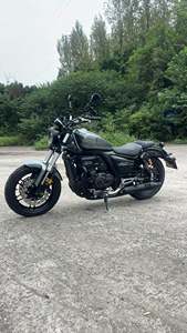 二手赛科龙RA401