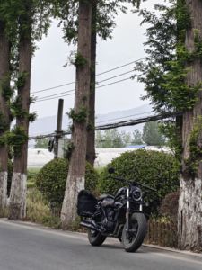 二手香帅Joy