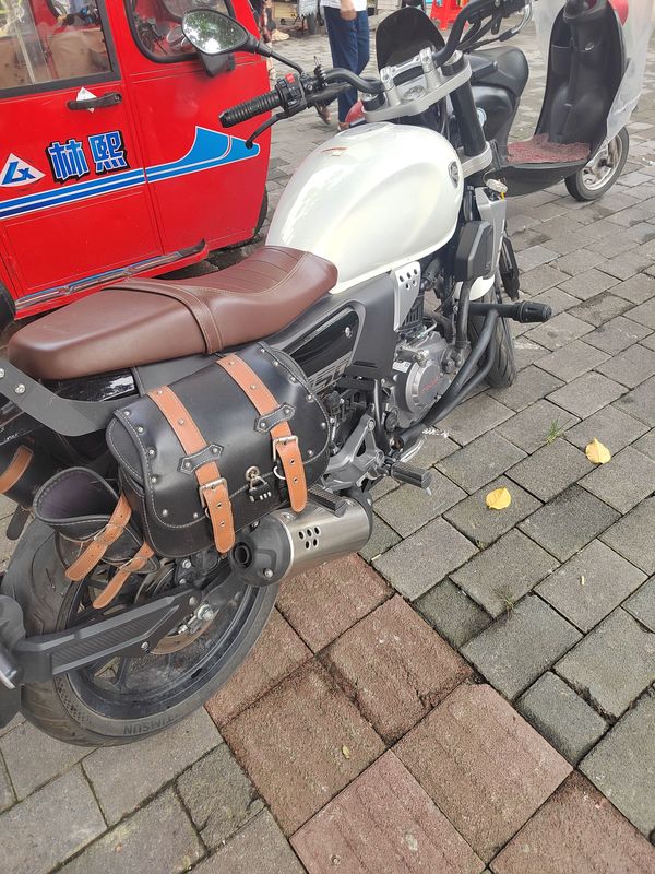 二手赛科龙RE250