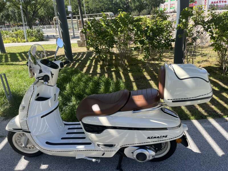 二手南方梦拉丽莎 飞戈