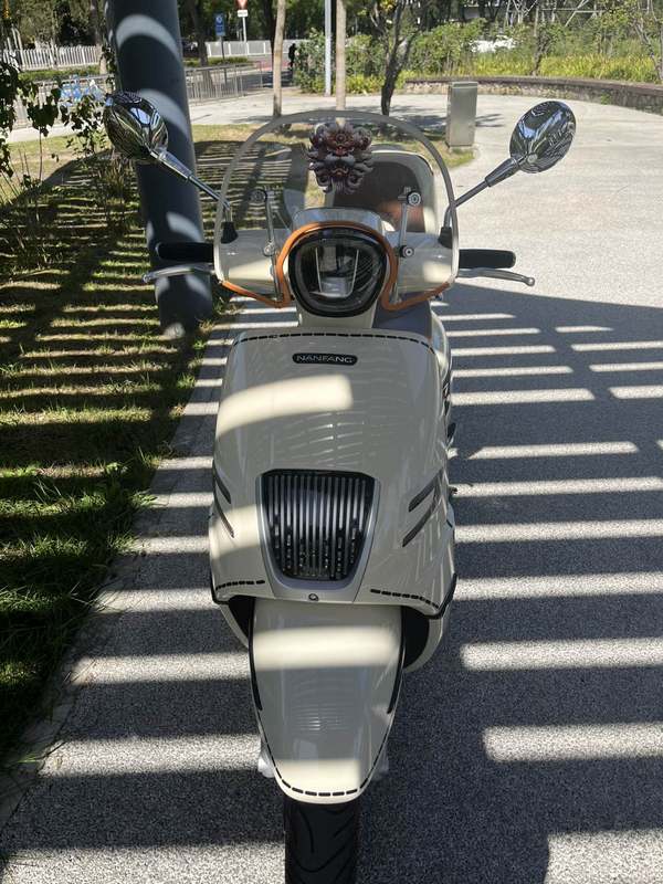 二手南方梦拉丽莎 飞戈