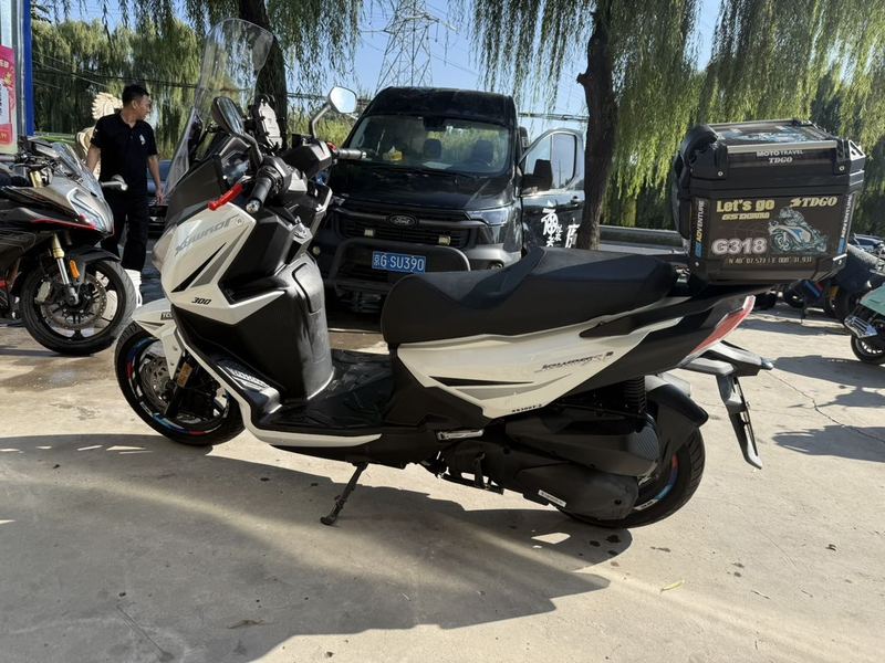 二手三阳Joymax F 300