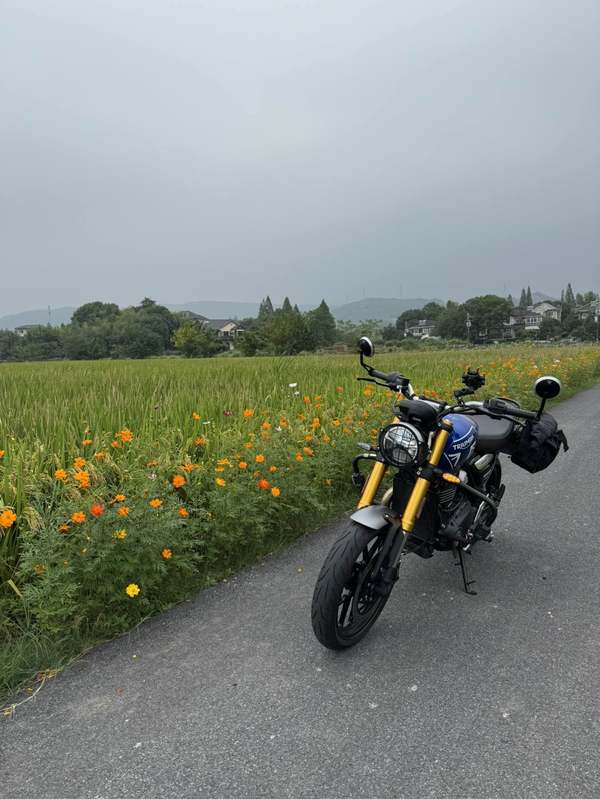 二手凯旋Speed 400