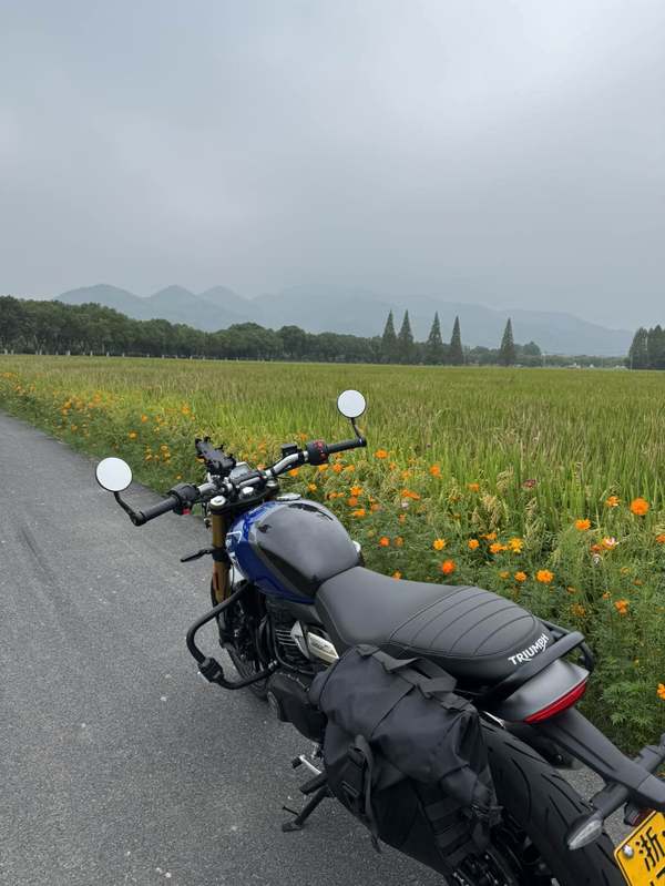 二手凯旋Speed 400