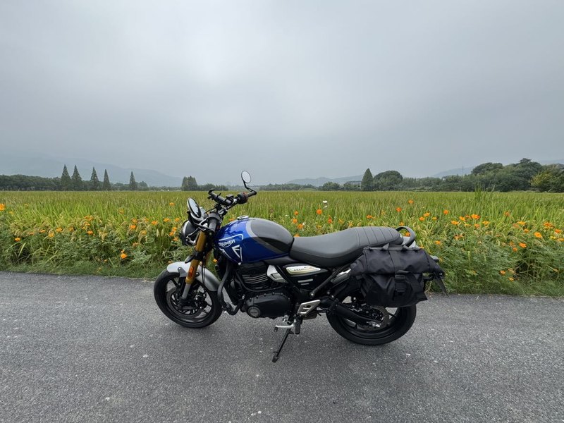 二手凯旋Speed 400
