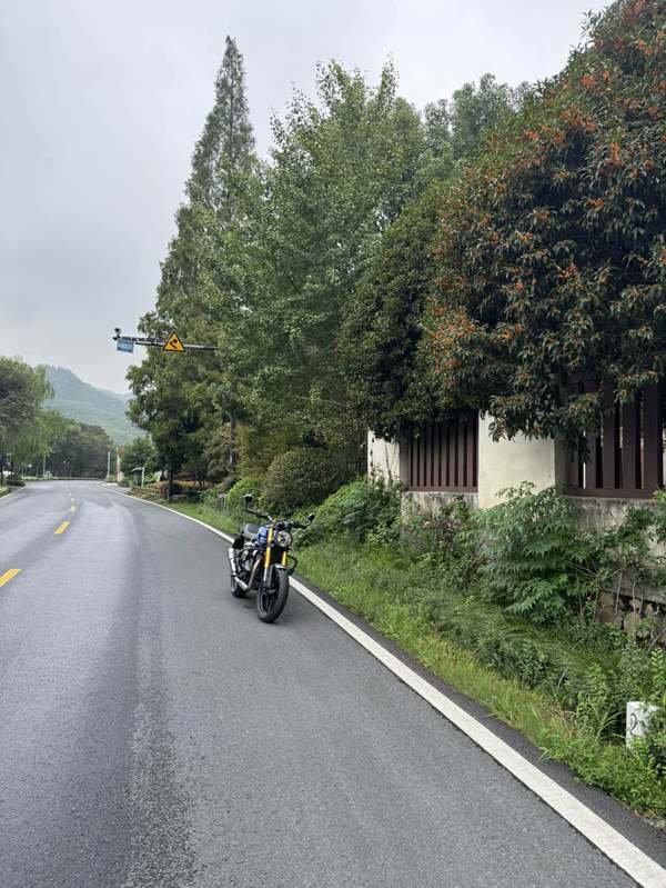 二手凯旋Speed 400