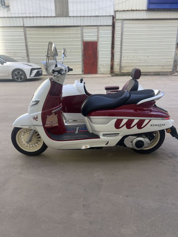 二手南方梦拉丽莎 飞戈边三轮